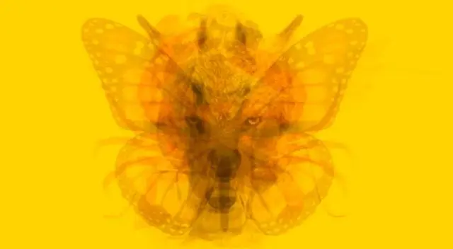 ¿Qué animal viste? Este increíble test de personalidad mostraría datos ocultos sobre ti ¿Qué animal viste? Este increíble test de personalidad mostraría datos ocultos sobre ti