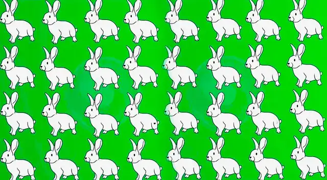 Tienes 5 segundos para encontrar al conejo distinto.