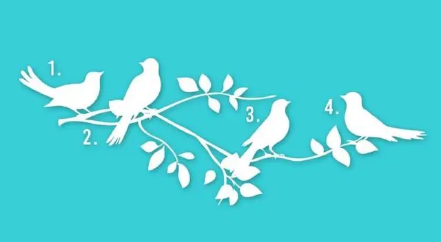 Elige un pájaro y este test de personalidad te mostrará tu propósito en la vida Elige un pájaro y este test de personalidad te mostrará tu propósito en la vida
