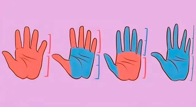 Elige que mano se parece a la tuya y conoce más de ti.