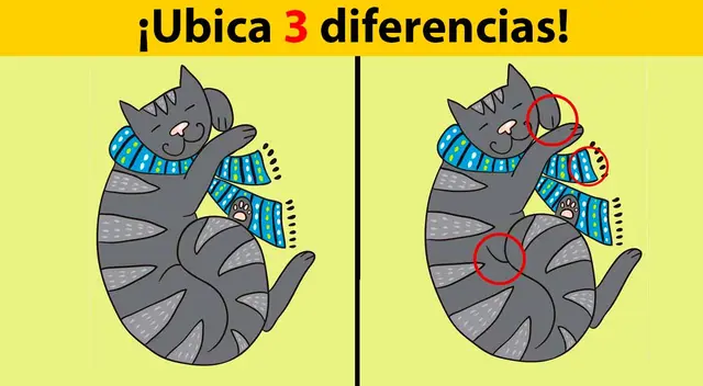 reto visual