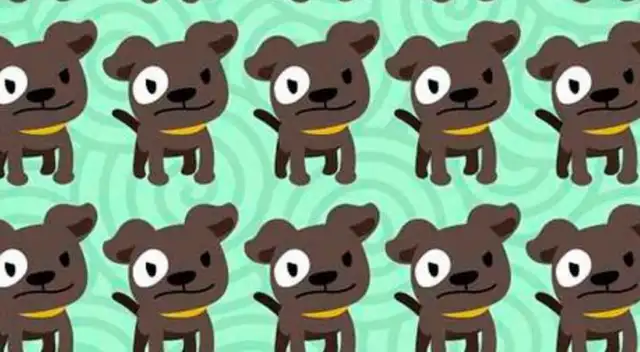 Encuentra en cuestión de segundos el perro diferentes y conviértete en un GENIO Encuentra en cuestión de segundos el perro diferentes y conviértete en un GENIO