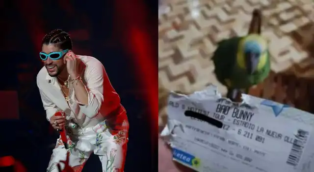 Loro hace 'estallar' las redes sociales al comerse boleto de su dueño para ver a Bad Bunny
