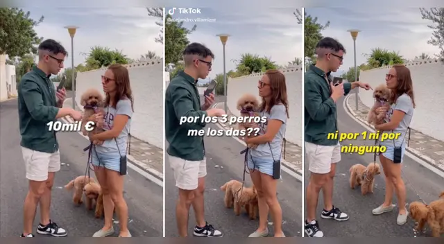 TikTok: Mujer rechaza vender a sus perros por un 1 millón de euros y se vuelve viral TikTok: Mujer rechaza vender a sus perros por un 1 millón de euros y se vuelve viral