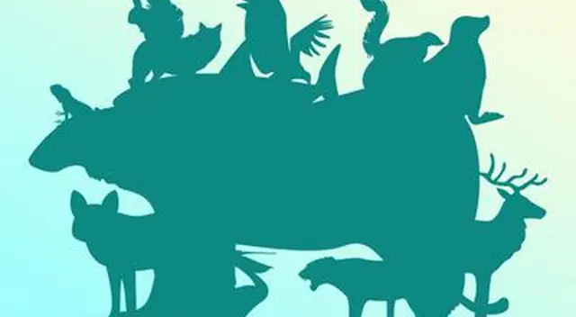 Solo tienes pocos segundos para poder ubicar la cantidad de animales en el reto visual Solo tienes pocos segundos para poder ubicar la cantidad de animales en el reto visual