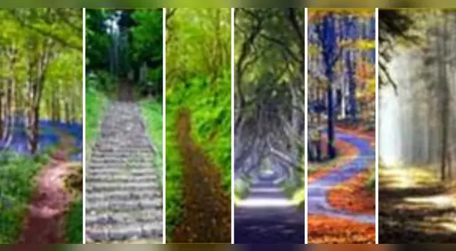 Test de personalidad: Elige tu camino favorito y descubre qué define tu identidad Test de personalidad: Elige tu camino favorito y descubre qué define tu identidad