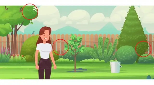 Reto visual Reto visual