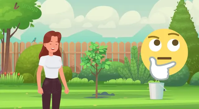 ¿Dónde están las palabras? ¿Dónde están las palabras?