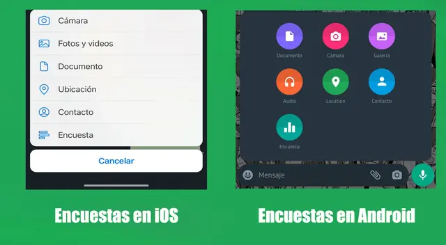 WhatsApp: ya puedes hacer encuestas en tus grupos, te mostramos cómo crearlas
