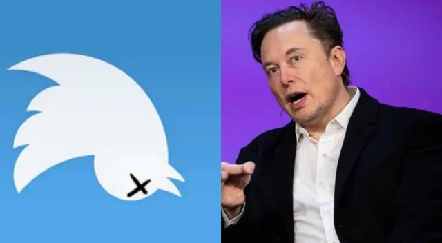 RIP Twitter: Red Social estaría en peligro tras renuncia de miles de trabajadores