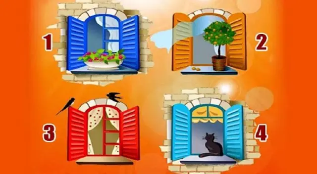 Elige qué ventana es tu favorita y conoce más de ti.