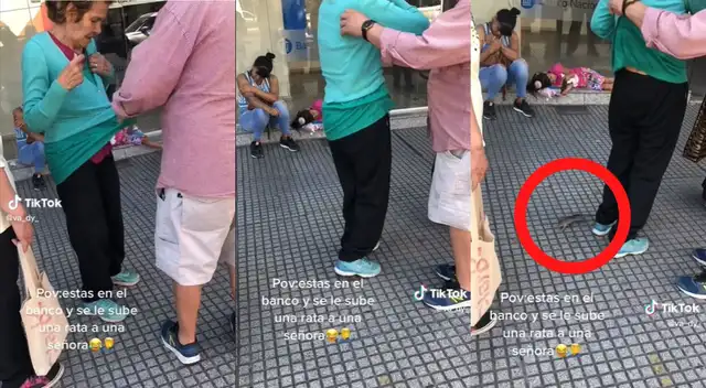Se le sube rata a mujer en el banco y se vuelve viral en TikTok.