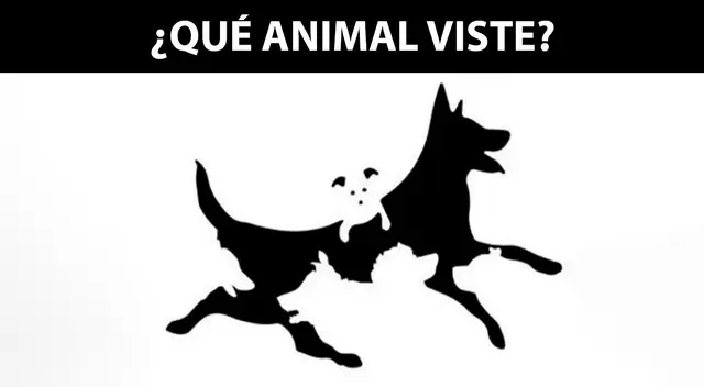 Escoge un animal y deja que este test de personalidad defina si eres alguien honesto Escoge un animal y deja que este test de personalidad defina si eres alguien honesto