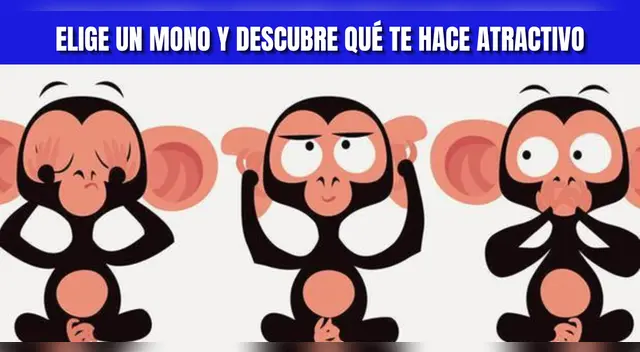 Test de personalidad: Elige un mono y descubre cuál es tu mejor atractivo