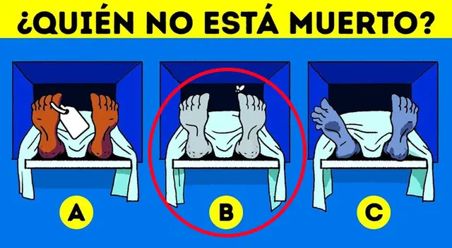 acertijo visual