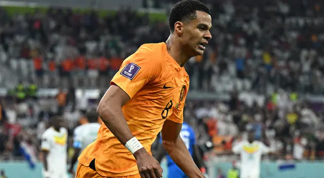 Senegal vs Países Bajos EN VIVO por el Mundial Qatar 2022 Senegal vs Países Bajos EN VIVO por el Mundial Qatar 2022