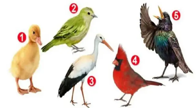 test de personalidad