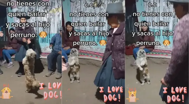 Un perrito se volvió tendencia tras sacar los 'pasos prohibidos' en una fiesta
