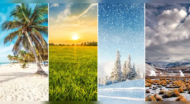 Test de personalidad: ¿Qué obstáculos enfrentarás en la vida? Descúbrelo aquí