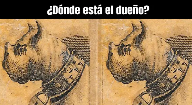 Debes encontrar al dueño del perro; Solo el 2% superó con éxito este reto visual