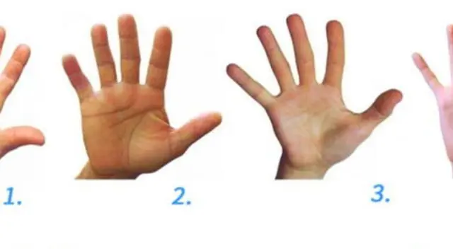 Test de personalidad: ¿Qué dice la forma de tus manos sobre ti?