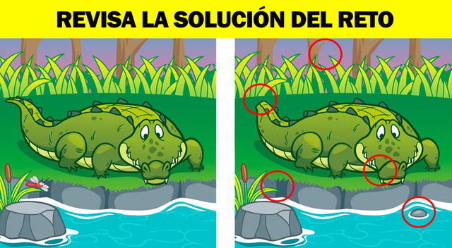reto visual