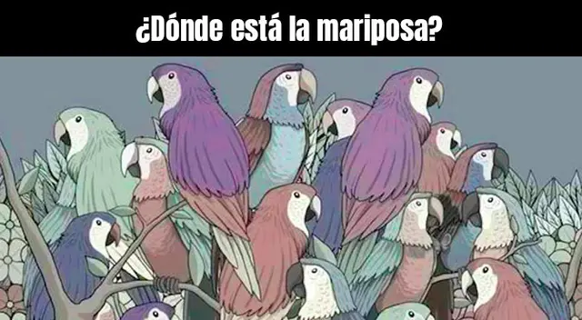 Reto visual del día: ¿Dónde se oculta la mariposa? Menos del 4% la vio en esta pintura