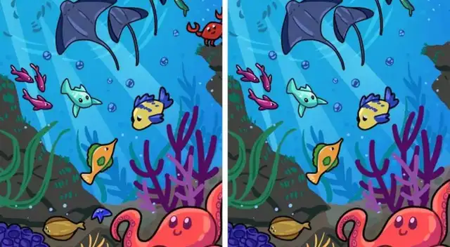 Reto visual: ¿Cuáles son las dos diferencias?