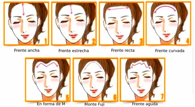 Test de personalidad según el tamaño de tu frente Test de personalidad según el tamaño de tu frente
