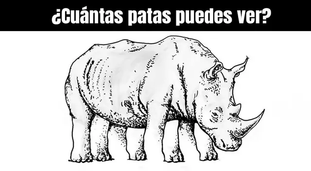 ¿Cuántas patas cuentas? Solo el 2% de usuarios venció en este reto visual nivel AVANZADO