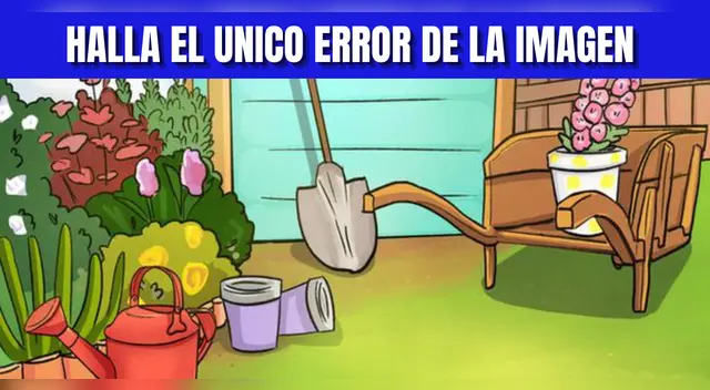 Reto visual EXTREMO: Conságrate como un GENIO ubicando el error de la imagen