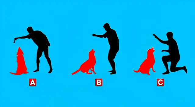 ¿Cómo tratas a tu perro? Este test ayudó a más del 96% conocer más de su personalidad ¿Cómo tratas a tu perro? Este test ayudó a más del 96% conocer más de su personalidad