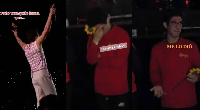 Harry Styles en Lima: Agente de seguridad tiene emotiva reacción al recibir girasol del cantante