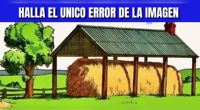 Reto visual EXTREMO: Ubica el error de la imagen en 5 segundos