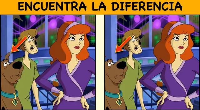 Hay un Shaggy, una Daphne o un Scooby-Doo falso. ¿Podrás encontrarlo y restaurar la paz en la pandilla? | Fuente: Entrenador Cerebral.