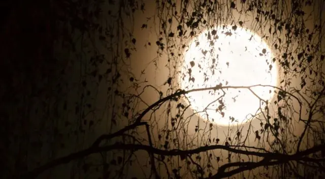 Su apelativo hace alusión al fuerte invierno que cae en Europa durante la época navideña. Su apelativo hace alusión al fuerte invierno que cae en Europa durante la época navideña.