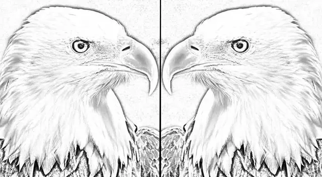 Solo tienes 5 segundos para superar este complicado reto visual. ¡Manos a la obra! Solo tienes 5 segundos para superar este complicado reto visual. ¡Manos a la obra!