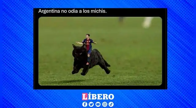 El gato de la conferencia de Vinícius Jr. se lució en los memes.