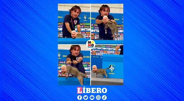 Usuarios recuerdan la conferencia de prensa de Brasil en la que apareció un gato.