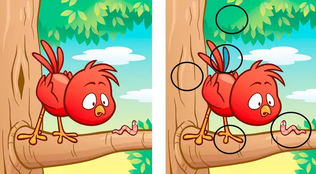 reto visual reto visual