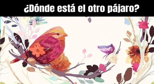 Reto visual: Trata de encontrar al tercer pájaro en 6 segundos Reto visual: Trata de encontrar al tercer pájaro en 6 segundos