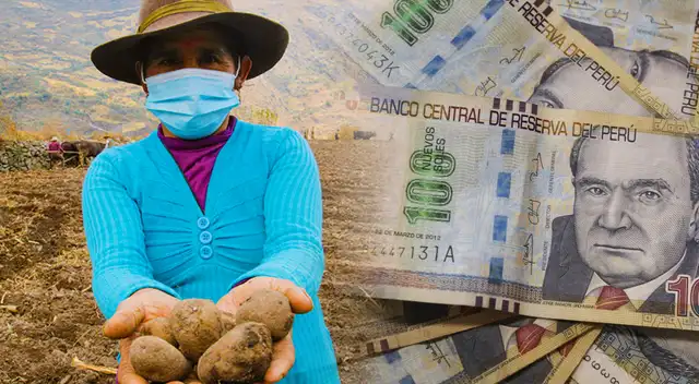 El Bono Agrario 2022 beneficiará a más de 65,000 agricultores peruanos, según Minagri.