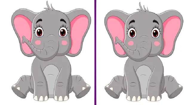 Solo cuentas con una oportunidad para resolver este divertido reto visual del Diario Líbero.