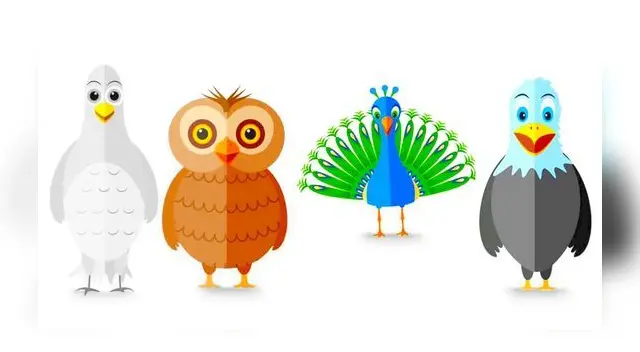 ¿Qué ave se prefieres? Este test de personalidad ayudó a saber eres tímido o valiente