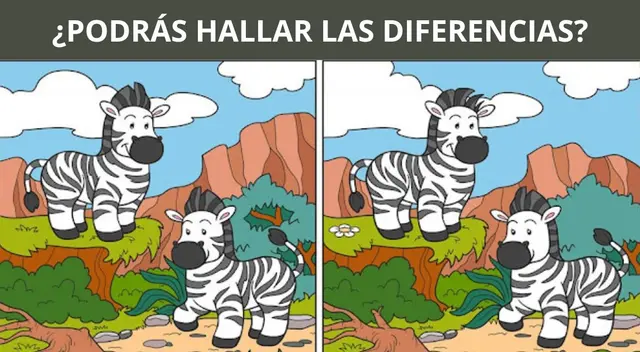 Pon a prueba tu agilidad visual intentando resolver este desafío en tiempo récord.