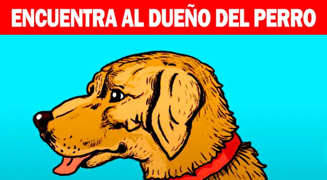 ¿Serás capaz de superar el reto extremo? Ubica al dueño de Firulais en tiempo récord.