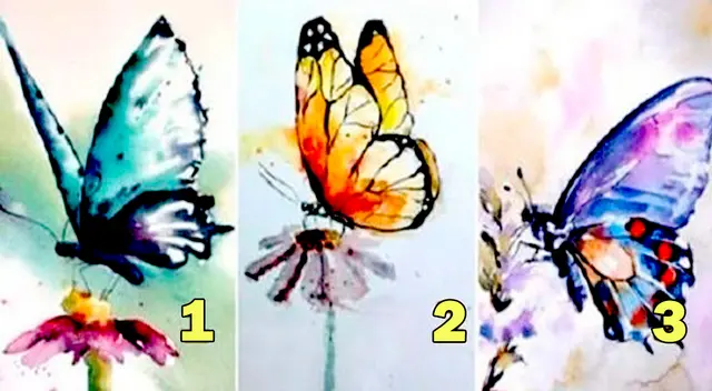 Elige una de las mariposas que más te gusta del test y conoce más sobre ti.
