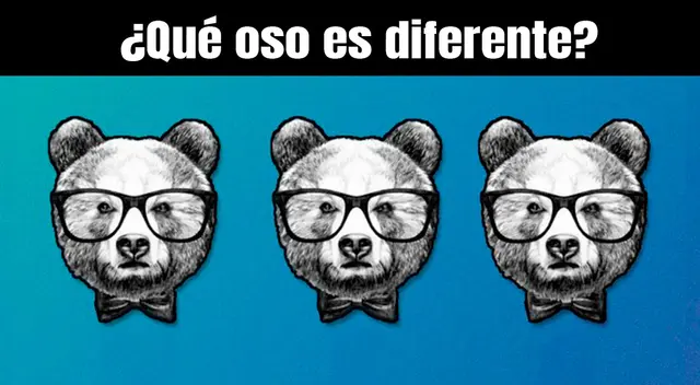 ¿Ves al oso diferente? Resuelve este reto visual descifrado por genios ¿Ves al oso diferente? Resuelve este reto visual descifrado por genios