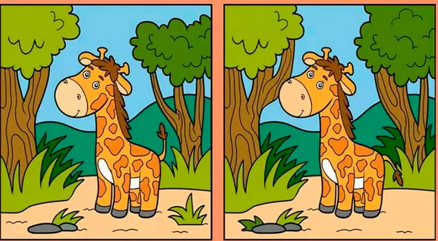 retos visuales