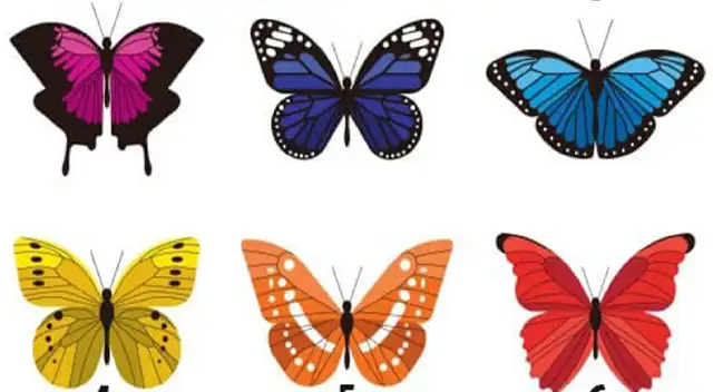 Cabe indicar que la respuesta que vale es la primera que elijas.